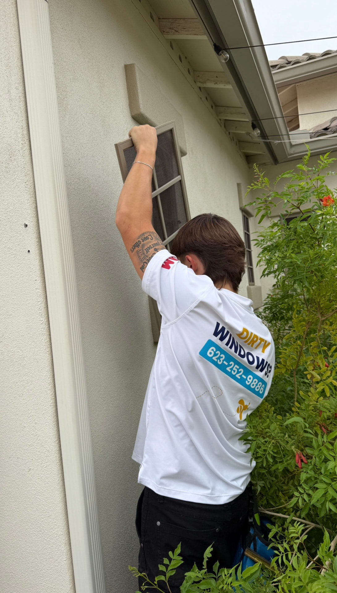 Re-Screening by Nectar Window Cleaning